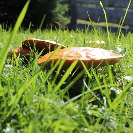 Draugstein - Huette * Grossarl